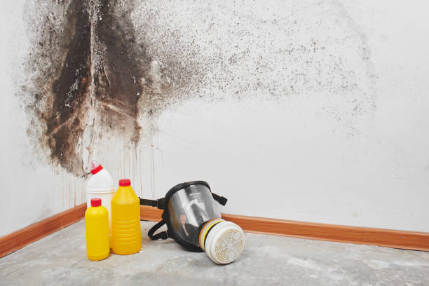 Crawl Space Mold Removal in Oceano, CA