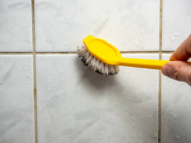 Best Mold Damage Repair  in Oceano, CA