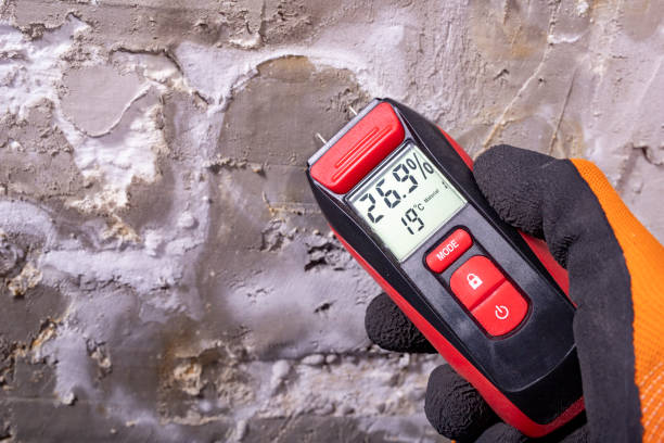 Best Mold Testing  in Oceano, CA