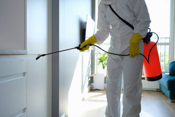 Best Mold Testing and Removal  in Oceano, CA