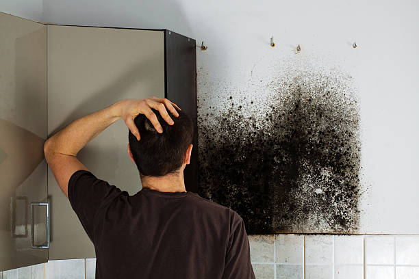 Best Office Mold Removal Services  in Oceano, CA